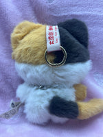 Baby Three Cats and Dogs confirmed "Calico"